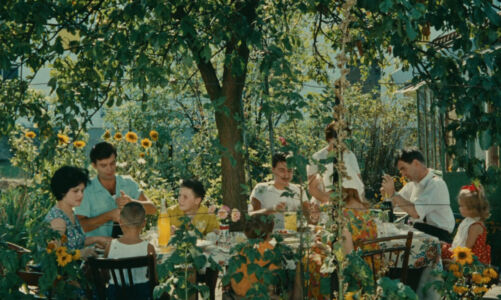 Agnès Varda - Le Bonheur