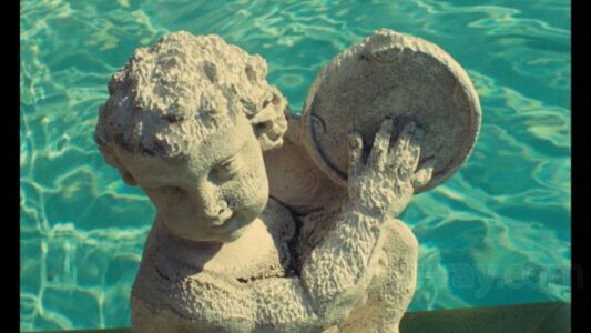 Agnès Varda - Lions Love