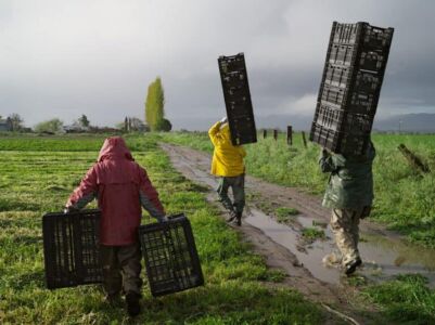 Lucas Foglia