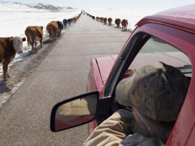 Lucas Foglia