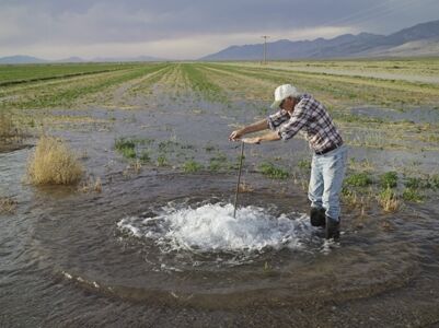 Lucas Foglia