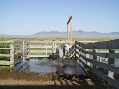 Lucas Foglia