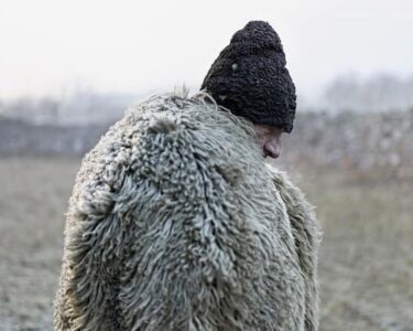Tamas Dezso