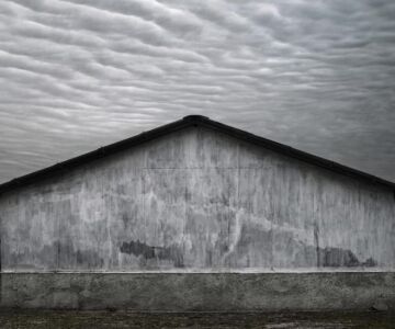 Tamas Dezso