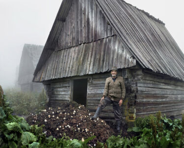 Tamas Dezso