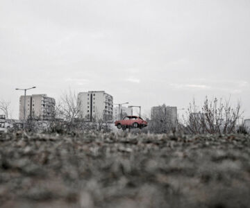 Tamas Dezso