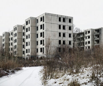 Tamas Dezso