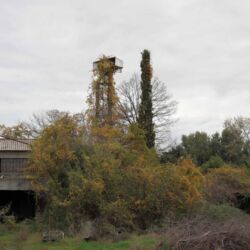 Λευτέρης Παρασκευαΐδης