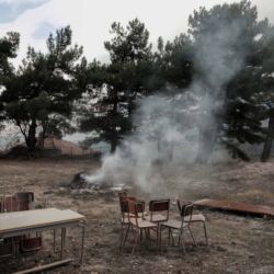 Λευτέρης Παρασκευαΐδης