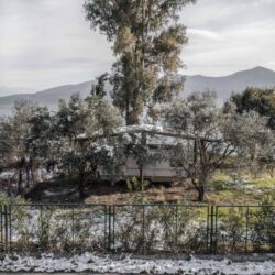 Λευτέρης Παρασκευαΐδης