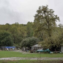 Λευτέρης Παρασκευαΐδης