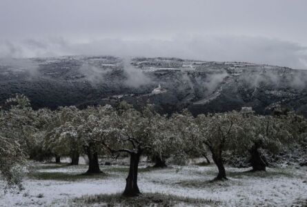 Κυριάκος Αναστασόπουλος