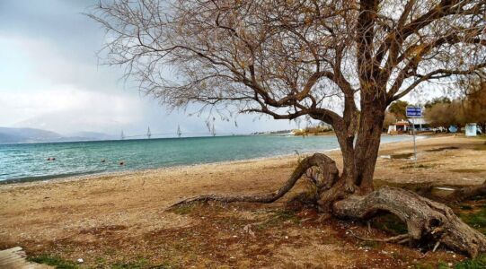 Ευγενία Αρβανίτη Πρεβεζάνου