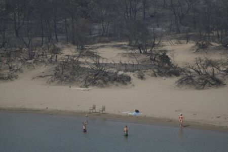 Πέτρος Γιαννακούρης