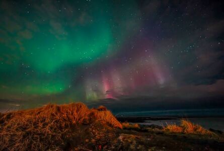 Πάνος Δημόπουλος