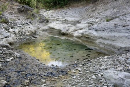 Πηνελόπη Θωμαϊδη