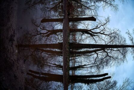 Χαράλαμπος Ιωαννόπουλος