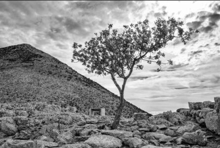 Αλκιβιάδης Κωνσταντόπουλος