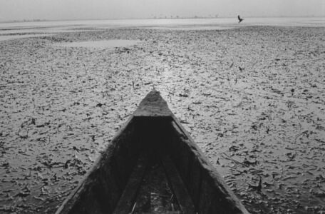 Eugene Richards