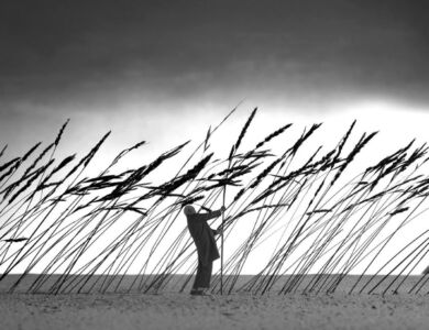 Gilbert Garcin