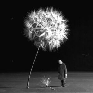 Gilbert Garcin