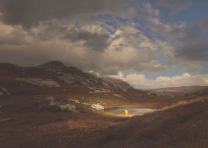 Ole Marius Jorgensen