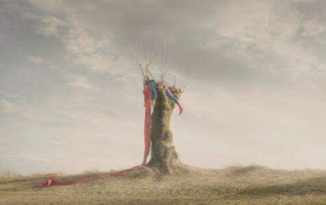 Ole Marius Jorgensen