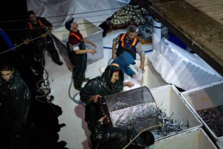 Παναγιώτης Ρόντος