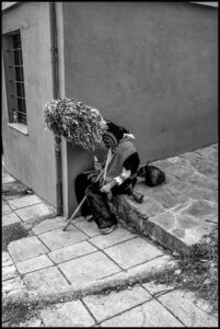 Πολυδεύκης Ασωνίτης