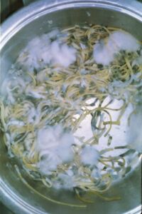 Γεωργία Πονηράκου