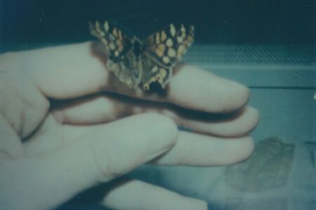 Γεωργία Πονηράκου