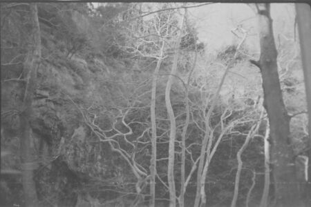 Γεωργία Πονηράκου