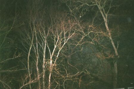 Γεωργία Πονηράκου