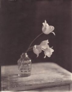 John Dugdale