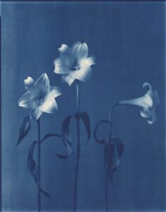 John Dugdale