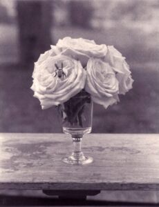John Dugdale