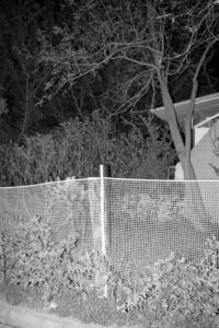 Γιώργος Καψαλάκης