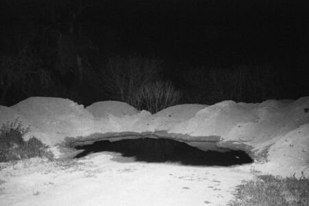 Γιώργος Καψαλάκης