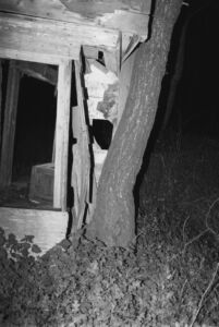 Γιώργος Καψαλάκης