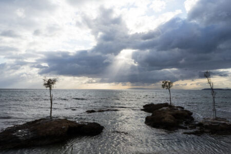 Δημήτρης Φραγκούλης