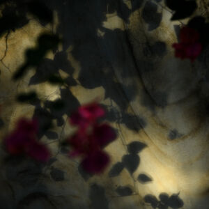 Κωνσταντίνος Πατσάκης