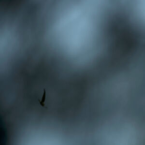 Κωνσταντίνος Πατσάκης