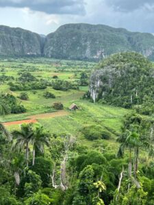 Άννα Πατρώνη - Cuba - Valle de Vinales