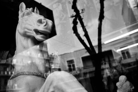 Φωτογραφική Λέσχη Κορίνθου - Γεώργιος Τζάφης