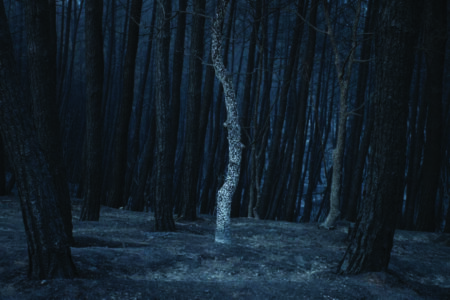 Κέντρο δημιουργικής φωτογραφίας Θράκης - Γιάννης Καλτσέρας