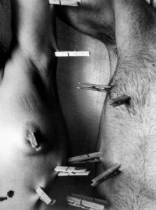 Νεφέλη Υδραίου