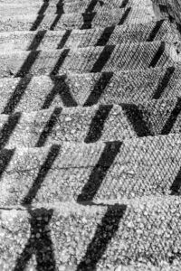 Πέτρου Όλγα