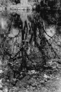 Βόσσος Πέτρος