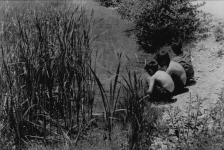 Βόσσος Πέτρος