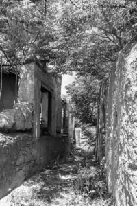 Ελευθεριάδου Φοίβη